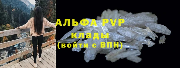 сатива Белокуриха