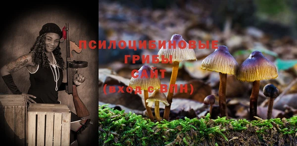 каннабис Беломорск