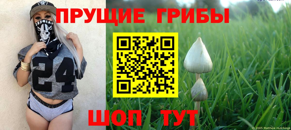 Галлюциногенные грибы мухоморы Ефремов